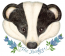 avatar_badger